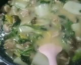 簡単 春白菜と鳥もも肉のクリーム煮作り方16写真