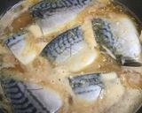 超楽々 味噌煮込みサバタイムブルース作り方3写真