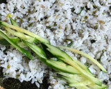 秋刀魚の海苔巻☆さんまのまんま☆作り方7写真