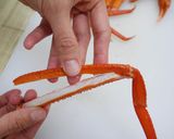 簡単!! カニのさばき方作り方9写真