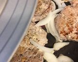 ご飯がススム！我が家のトンテキ作り方14写真