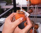 田舎嫁の手仕事 干し柿作り方7写真
