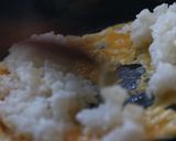 ウスターソースでもパラ炒飯鉄フライパンで作り方13写真