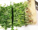 ピリ辛メンマの野菜炒め作り方1写真