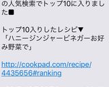 ハニージンジャービネガー♬お好み野菜で作り方5写真