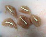 簡単♪ ささみ丼 アレンジ自在!作り方2写真