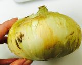誰でも作れるタコと新玉ねぎの簡単マリネ作り方1写真