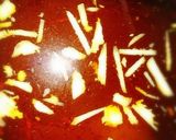 生姜と胡麻たっぷりの鯖の煮付け☆作り方1写真