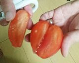 包丁もまな板も不要！トマトのヘタとり作り方9写真