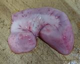 ぶりの白子ポン酢♪作り方4写真