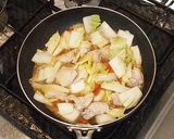 ごはんによくあう♪鶏白菜の中華風みそ炒め作り方3写真