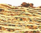 チヂミ風カリカリ焼き飯作り方13写真