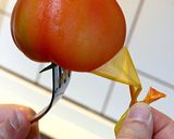 トマトの味噌漬作り方3写真