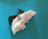 納豆と大根の桜漬けのご飯作り方3写真
