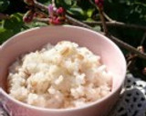ぷちぷち食感 もち麦ごはんの炊き方作り方4写真