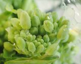 菜の花のオリーブ油炒め作り方1写真