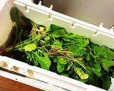 ほうれん草の保存方法☆作り方1写真