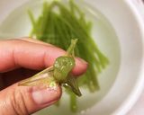 ふきの煮物作り方4写真
