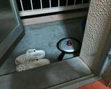 ツワブキと荘内麩のさっと煮作り方4写真