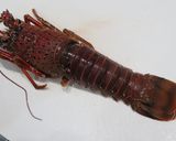 宝楽蒸し焼き作り方4写真