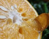 サバ缶と野菜の甘夏マリネ作り方1写真