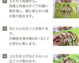 海老・はんぺん・豚ひき肉のプリッと焼き作り方2写真