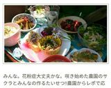お弁当に♪お好み焼き風☆卵焼き作り方8写真