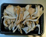 お弁当に万能副菜!舞茸とベーコンのソテー作り方1写真