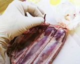 肉屋流スペアリブ食べやすく捌き方作り方3写真