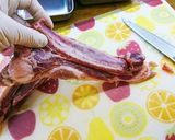 肉屋流スペアリブ食べやすく捌き方作り方8写真