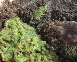 鰆と筍のソテー・えごま蕗味噌を添えて作り方3写真