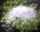 栄養満点！簡単ふりかけ作り方2写真