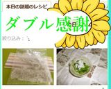 しらす干しも冷凍で鮮度長持ち作り方6写真