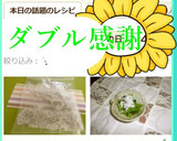 しらす干しも冷凍で鮮度長持ち作り方6写真