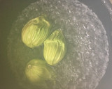 旬の香り☆ふきのとう味噌作り方1写真