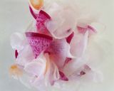 ひらり～✿野菜のフリルサラダ作り方1写真