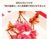 フワッと咲いた。桜の塩漬け使い方コツ作り方8写真