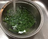 木の芽（あけびの芽）おすすめ茹で方作り方6写真