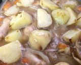 てばもっちゃんカレー（手羽元カレー）作り方13写真
