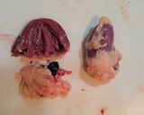 これで完璧！鶏肝の下処理と甘辛煮作り方2写真