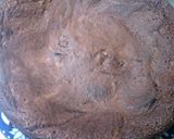 ミルサーでつくる♪粉砂糖♪作り方7写真