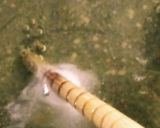 安！うま！ボリューム満点☆餡掛け揚げ出し作り方3写真