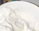 難しくないチョコレートシフォンケーキ作り方18写真