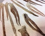 丸ごとスルメイカの天ぷら作り方7写真