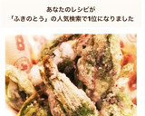 春が来た！ふきのとう 超簡単揚げ作り方6写真