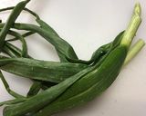 新玉ねぎの葉の甘麹辛子酢味噌和え　作り方1写真