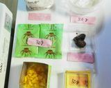 入れるだけ【卵なし】しょうがカップケーキ作り方1写真