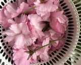桜塩と桜梅酢と桜茶(八重桜の塩漬け)作り方1写真