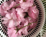 桜塩と桜梅酢と桜茶(八重桜の塩漬け)作り方1写真