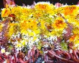 ホタルイカのカリカリパン粉焼き作り方5写真